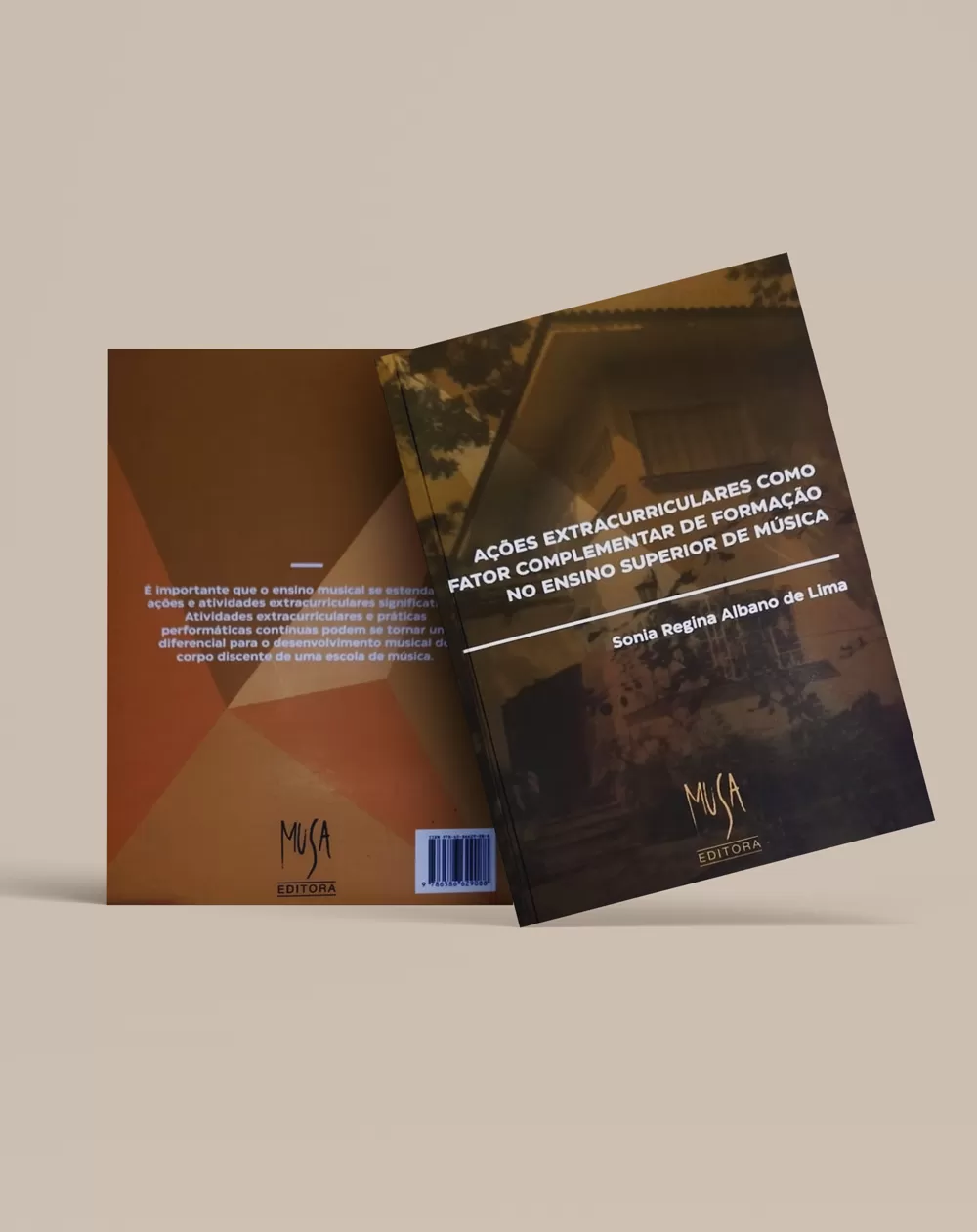 Ações extracurriculares como fator complementar de formação no ensino superior de música