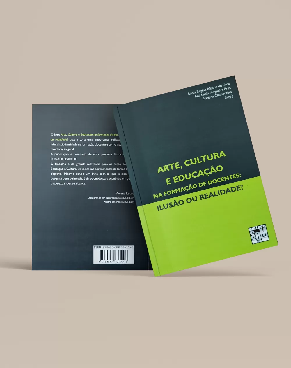 Arte, cultura e educação na formação de docentes: Ilusão ou realidade?