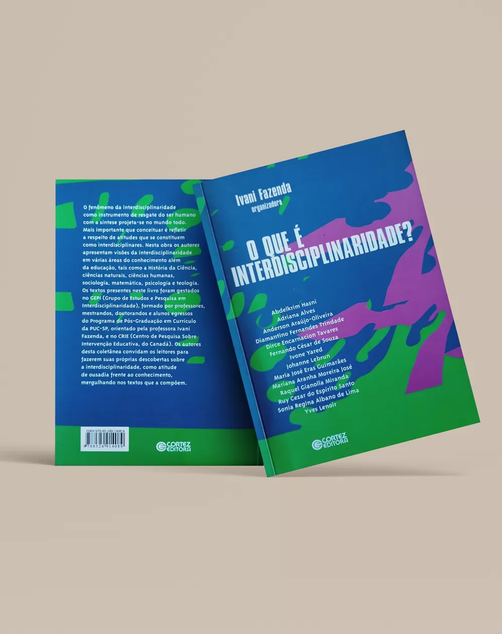 O que é interdisciplinaridade