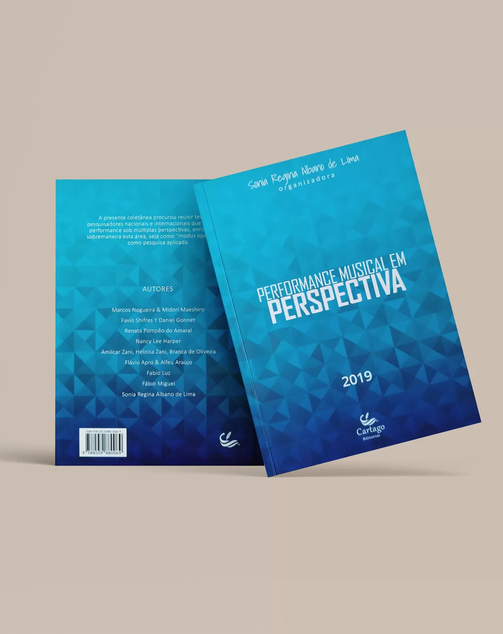 Performance musical em perspectiva