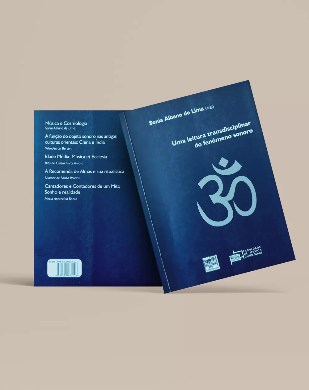 Uma leitura transdisciplinar do fenômeno sonoro